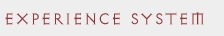 Experience System